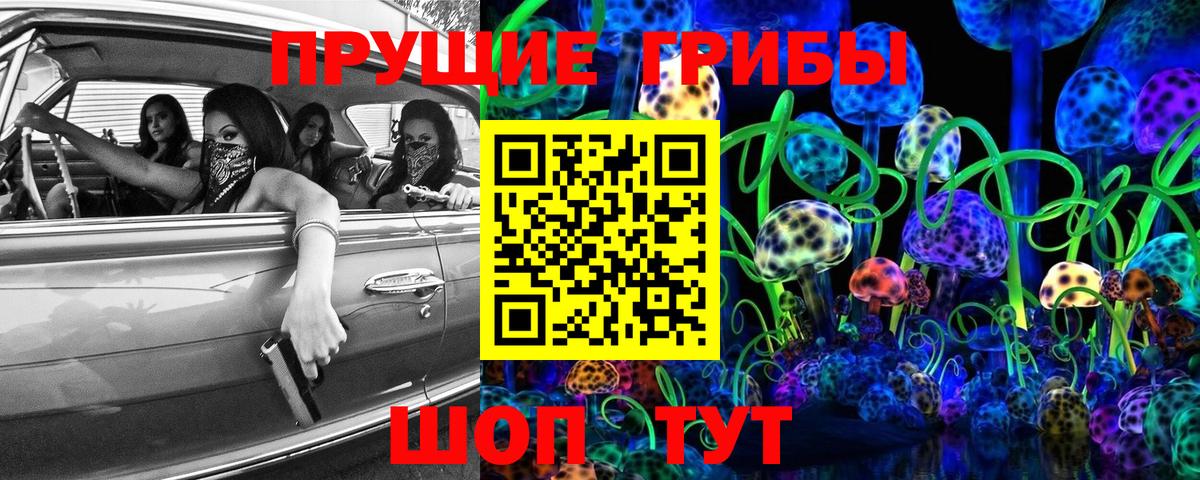 Псилоцибиновые грибы Psilocybine cubensis  Вход с VPN  Видное 